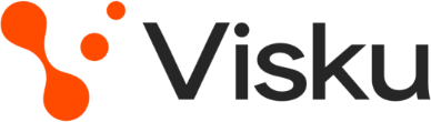 Visku Logo